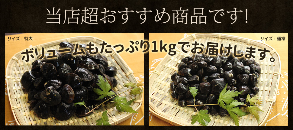 涸沼産天然大和しじみ | 涸沼産しじみ・九十九里産はまぐり・千葉県産